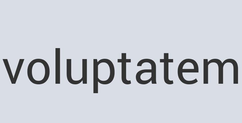 Aerodynamic Iron Deoder Bear