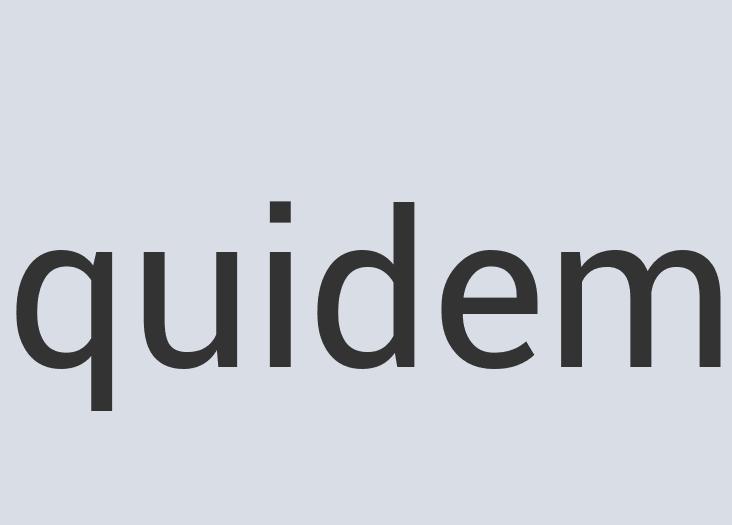 Enormous Leather Sport Foam