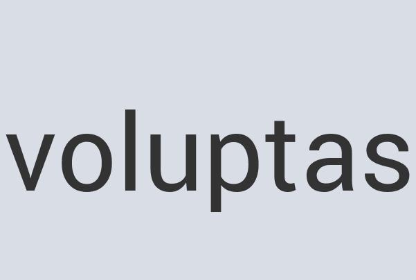 Enormous Plastic Plasto