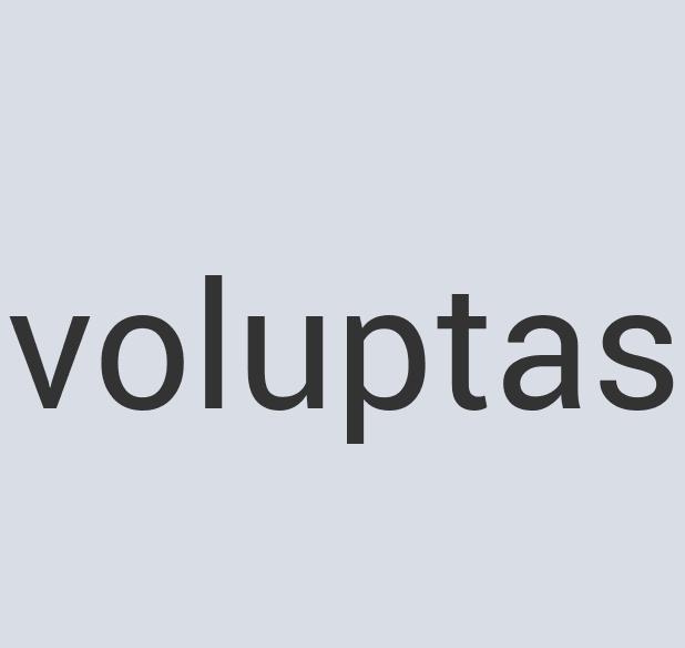 Aerodynamic Iron Deoder Bear