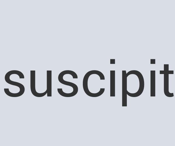 Aerodynamic Concrete Prawn Leather